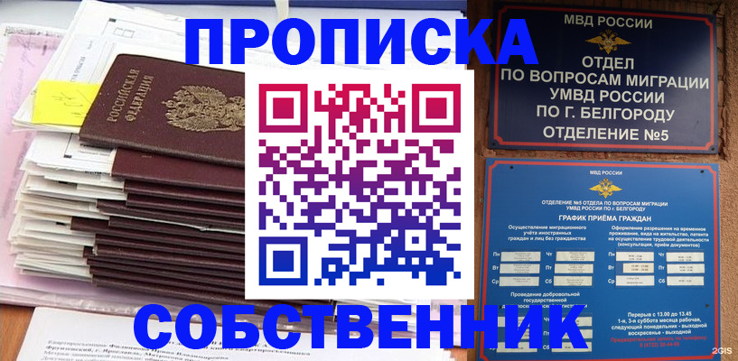 прописка законно в Губкинском